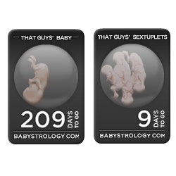 Babystrology's Baby Ticker ~ freaky as it looks... you need to see it with the babies moving around... its a really nicely done widget, and fun to up the numbers of babies and change the due dates