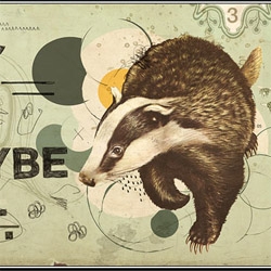 love the badger!