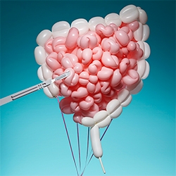 Kerry Hughers Pneumatic Anatomy - organs made of balloons!