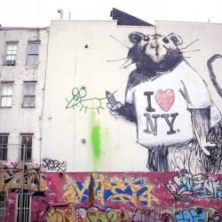 new Banksy commisioned rat in Soho.  Banky hearts NY!