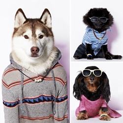 American Beagle Outfitters Dogumentary ~ hilariously thorough video from American Eagle on the inspiration, design, and behind the scenes of the photoshoot for their new dog line "American Beagle"