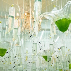 A 'greenhouse' in London replaces traditional plants with clear bags of algae into which visitors can blow carbon dioxide (and tweet about it!).