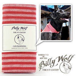 Billy Wolf NYC K-9 Coatery ~ nice branding, fun dog wearables...