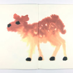 Wilde Dieren/Wild Animals By Rop van Mierlo. Beautiful. Odd. Book of wild animals! See the video of how the images are made... mesmerizing.