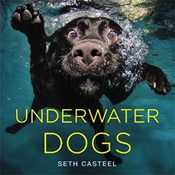 Underwater Dogs - the photography of Seth Casteel in book form!