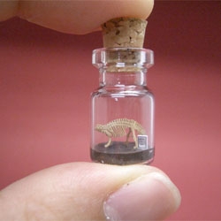 Tiny brontosaurus in a bottle from etsy seller tinyworldinabottle (Akinobu). Amazing stuff.