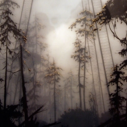 One of the most breathtaking shows i've seen so far this year... Brooks Salzwedel's "By Fault of Its Own" solo show... finally saw how intensely surreal his layered resin pieces are! See the close ups to understand!