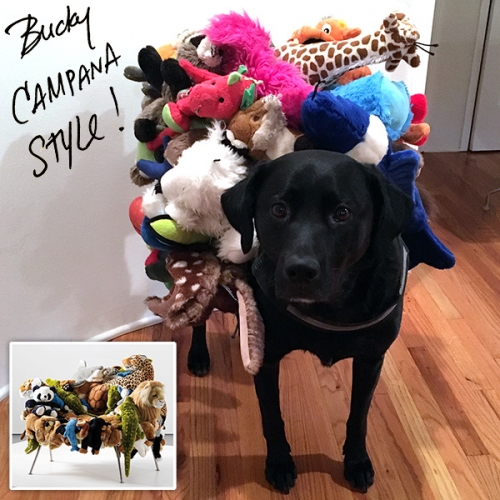 Happy Halloween! Bucky got dressed up as a Campana Brothers Banquet (Stuffed Animal) Chair.