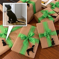 NOTCOT + NOTpuppy, Bucky, have a new article over at MyLifeScoop sharing how to turn cell phone puppy pics into laser cut gift hangers, as well as a peek of the pup skyping and more!