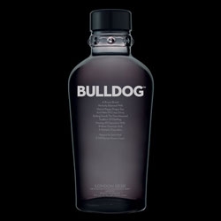 Bulldog Gin - its got asian infusions like longnan ("dragon's eye"?) - but really i love this bottle - the rugged look, yet that subtle glass collar is great. And the url looks like bulldogging almost