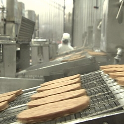 Interesting video that takes you behind the scenes of where mass produced burgers come from... Lopez Farms for McDonalds...