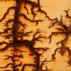The process of high voltage wood erosion. 