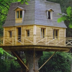 An all wood made duplex hut in a centenary tree in the Gentilhommière du Bois Adam, a charming bed and breakfast near Nantes (France)