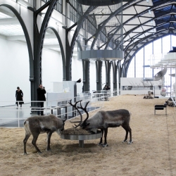 Carsten Höller's Soma at the Hamburger Bahnhof - Museum für Gegenwart, Berlin runs until February 6th, 2011.