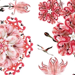 Stunning artwork using flamingo graphics by Cassandra C.Jones.