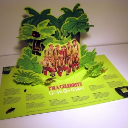 Benja Harney collaborated with graphic designer Melissa Cook of Caper Creative to create this awesome ‘I’m A Celebrity Get Me Out Of Here’ pop-up promotional booklet that won World Silver PROMAX/BDA Design Awards.