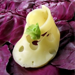 Artist Catherine McEver has created art prints of a series of little shoes fashioned from unlikely materials ranging from bologna,lettuce,cabbage, corn husks to tortillas. Shown here, a tiny fashion pump made of Swiss cheese with a lettuce buckle.