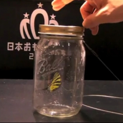 This toy at the recent Japanese gift show looks and behaves like a real butterfly in a jar. The Chouchou Electric Butterfly from Tenyo.