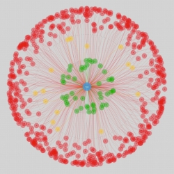 How asymmetric is your relationship network at Google Plus? Circle of Trust interface data visualization experiment using Google+ API and HTML5.