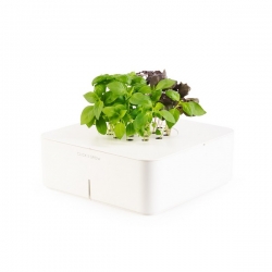 Click and Grow Electronic Flowerpots.