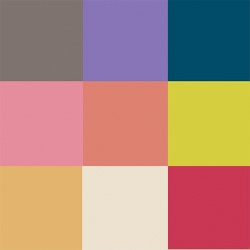 The Pantone Color Institute has just published a report on the top colors for fall 2009 as described by designers showing at New York fashion week.