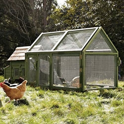Fun to see Williams Sonoma is carrying Chicken Coops now and encouraging raising chickens! This is the Briar Extended Chicken Coop & Run by Green Chicken Coop.