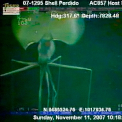 Crazy video footage of a Magnapinna squid with what appears to be elbows was taken by a Shell Oil underwater robot 1.5 miles underwater.  I think its probably just an alien.