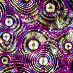 Bevshots, photographs of your favorite beers, wines, cocktails, liquors, and mixers taken after being crystallized onto a slide, and shot under a polarized light microscope.
