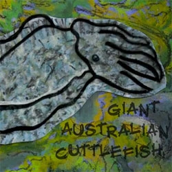 Dr. Roger Hanlon who studies cephalopod camouflage at the Marine Biological Laboratory in Woods Hole, MA describes the mesmerizing "passing cloud" pattern displayed by the male Giant Australian cuttlefish.