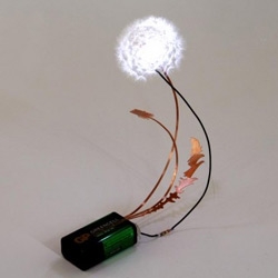 Another piece of gorgeous dutch design. The Dandlelight is a little battery powered led light with a  dandelion as a shade. by DRIFT