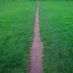 As explored by brilliant poet-scientist Gaston Bachelard in "The Poetics of Space", a desire path is "a term in landscape architecture used to describe a path that isn't designed but rather is worn casually away by people finding the shortest distance between two points".