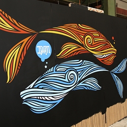 Check out these cute whales, painted by DHM in Amsterdam, last weekend.
