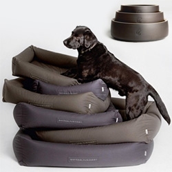 Cloud 7 makes beautiful dog beds, bowls, travel blankets, carved wooden whistles and more! Love the style and feel of their photography as well.