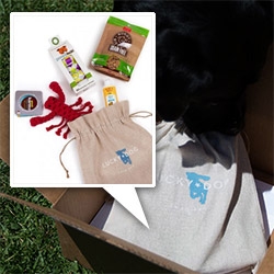 Petswag's Lucky Dog Swag Bag is a fun bag of treats where the proceeds go to a good cause! Contents are re-curated monthly and make a great gift. Take a peek inside!
