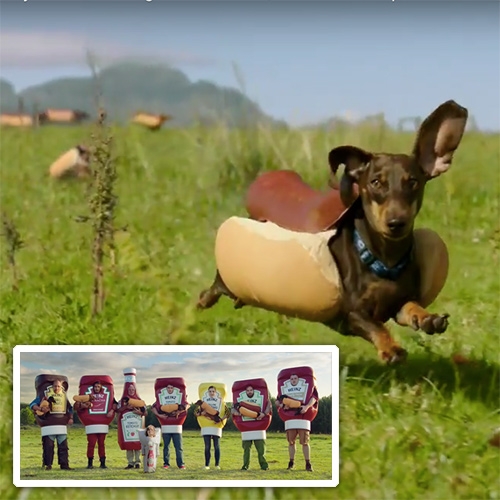 HEINZ Ketchup Game Day 2016 Hot Dog Commercial - "Wiener Stampede" - The dachshunds are adorable! As is the little kid in the ketchup packet costume!