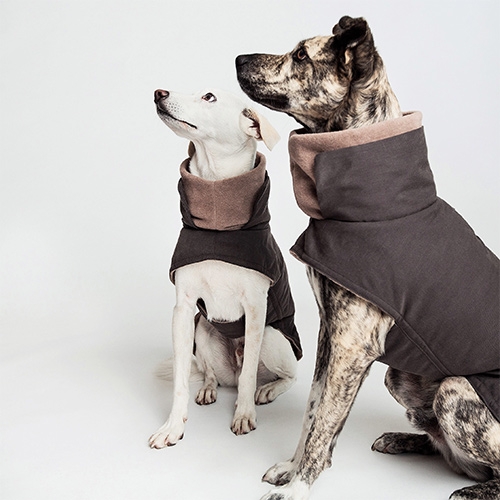 Cloud7, stylish Berlin based label with products and accessories for dogs, launches their new dog coat collection.