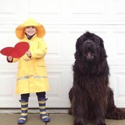 Stasha Becker aka @northwestmommy, the mother and photographer of her 4-year-old son Julian and their huge dog, a five-year-old Newfoundland named Max...