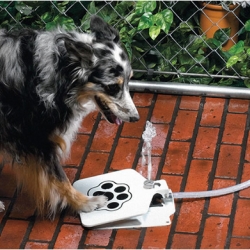 The Doggie Fountain is a cool solution for keeping your dogs water supply safe, fresh and readily available.