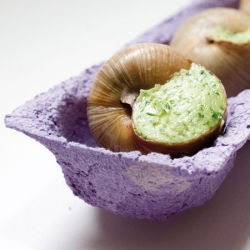Manuel Jouvin has made this packaging for cooked snail out of snail excrement's. In fact, in order to give it the right colour, snails are encouraged to eat coloured paper witch again will give a coloured poop!