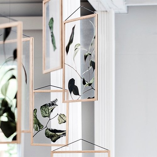 Moebe Floating Leaves by Moebe x Paper Collective x Norm Architects. This series of botanic photography has been created especially for the Moebe Frame, and is produced through a special printing technique onto transparent film. 