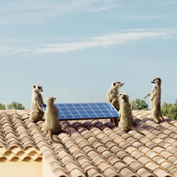 If you don't preserve nature by installing solar panels, who will? - Incredible ad campaign for EDF. 