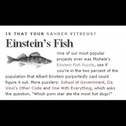 i have a confession to make. i've spent the morning working on einstein's fish rather than real work.  not sure if i love or hate coudal for introducing us, but i simply must know who owns that pike.