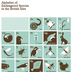 A timely take on an A-Z. An alphabet of the endangered species of the British Isles by Present and Correct.