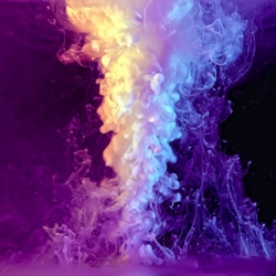 Explosions of color and liquid shot by macro photographer Markus Reugels.