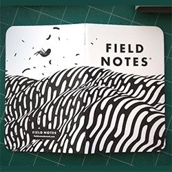 A close up look at the Brendan Monroe 2015 XOXO Fest Field Notes set and the Expedition Set (with waterproof tearproof paper!)
