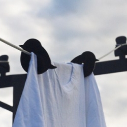 Early bird laundry hanger, designed by Fabian Von Spreckelsen.
