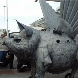 the flying pig at dublin international airport.  cant seem to get more info on this crazy sculpture.  