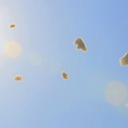 Polar bear shaped clouds made from helium and natural soap let loose into Japanese skies.