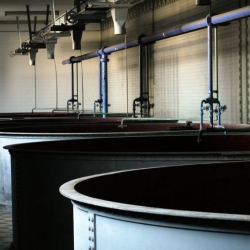 A former malt factory in Berlin will become an expansive aquaponic rooftop farm in 2013.