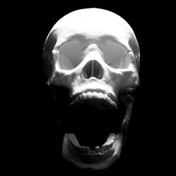 15 Free Hi Res Skull Photos for your designing needs!